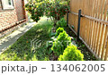 Green backyard by brick house thuja hosta and berry bush wooden fence static shot great for real estate and yard design summer day quiet suburb 134062005