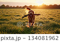A happy golden retriever runs through a lush green field carrying a stick in its mouth, bathed in the warm glow of the setting sun during golden hour. 134081962