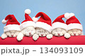 Cute little kittens in Christmas Santa Claus hat sleeping on red bed on blue background. 134093109