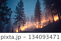Wildfire burning dry forest trees in wilderness, creating heavy smoke flames 134093471