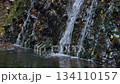 Atera no Nanataki Falls / Late Autumn Scenery (Shimoyoshida, Shinshiro City, Aichi Prefecture, Japan) 134110157