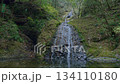 Atera no Nanataki Falls / Late Autumn Scenery (Shimoyoshida, Shinshiro City, Aichi Prefecture, Japan) 134110180