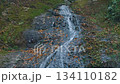 Atera no Nanataki Falls / Late Autumn Scenery (Shimoyoshida, Shinshiro City, Aichi Prefecture, Japan) 134110182