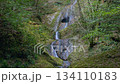 Atera no Nanataki Falls / Late Autumn Scenery (Shimoyoshida, Shinshiro City, Aichi Prefecture, Japan) 134110183