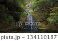Atera no Nanataki Falls / Late Autumn Scenery (Shimoyoshida, Shinshiro City, Aichi Prefecture, Japan) 134110187