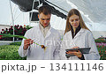 Flower farm employee holds tulip uprooted by roots. Growth analysis of greenhouse-grown plant. Male lab technician shows his colleague, holding tablet, flower diseases, fungal infections of tulip bulb 134111146