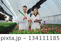 Agricultural research expert analyzes data from plant growth experiment in greenhouse environment. Two scientists in white coats discuss research results. Teamwork of research laboratory scientists. 134111185