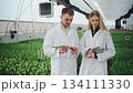 Modern agriculture. Scientists in white coats discuss and analyze results of research on flower growth in greenhouse. They record data on tablet. Teamwork between researchers in research laboratory. 134111330