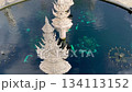 White Temple Pond, a landmark in Chiang Rai 134113152