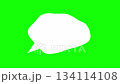 不安げな吹き出しのアニメーション。緑背景。 134114108