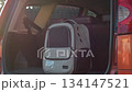 Side tracking shot of a gray pet carrier backpack placed in the open trunk of a parked car, illuminated by soft sunlight, suggesting travel readiness 134147521