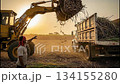 In Colombia, workers use a mechanical claw to clamp down on sugar cane. The claw lifts and swings the bundles onto truck beds. The sun sets over the fields. 134155280