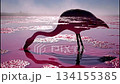 Flamingos roam through shallow waters at a pink lake. The morning light creates a vivid double exposure effect, blending elements of nature in a unique way. 134155385