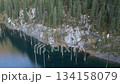 Aerial view of serene lake with submerged trees, camera pans across landscape 134158079