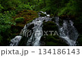Aerial view of a waterfall in a forest among trees 134186143