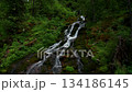 Aerial view of a waterfall in a forest among trees 134186145