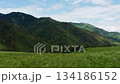 Aerial view of a green valley among the mountains 134186152