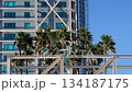 Modern office building with palm trees under clear blue sky and active construction 134187175