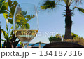 Wine glass on sunny tropical balcony with palm trees and blue sky in vacation setting 134187316
