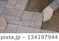 Top view close-up of worker laying paving stones with a mallet, demonstrating hard manual labor and step by step construction tutorial. 134197944