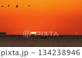 海面上的日出和一艘在空中飛翔的巨輪 134238946