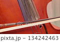 Extreme close-up of double bass strings and bow 134242463