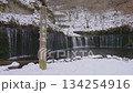 軽井沢　白糸の滝の風景動画 134254916