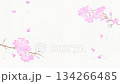 Spring Cherry Blossom Background - Watercolor Japanese Paper Petals Dancing Loop Animation 4K 134266485
