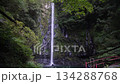 Hachinohe Kannon Falls, Nishiusuki District, Miyazaki Prefecture 134288768