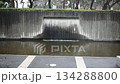 開成山公園　水辺 134288800
