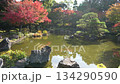 京都 秋の紅葉の季節の城南宮の風景 134290590