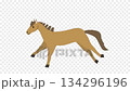 かわいい茶色い馬が走るアニメーション 134296196