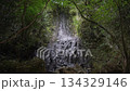 Unnamed Waterfall, Kamimashiki District, Kumamoto Prefecture 134329146