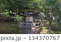 祠が映るVHS劣化風ループ動画 134370767