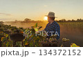 Man in hat examining crops with tablet, late summer farming routine, rural scene with dust and golden sky, agricultural expert analyzing data, digital transformation in agriculture, eco-conscious 134372152