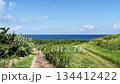 長崎旅遊五島列島，小鹿島「五陵崖」鳥瞰圖 134412422
