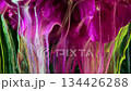 Vivid fabric with vibrant botanical elements, Dynamic display of colorful fabric with lush plantlike details 134426288