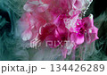 Calm pastelcolored landscape featuring pink blossoms gently floating in misty surroundings 134426289