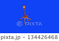 Funny Dancing Giraffe Character Isolated 134426468
