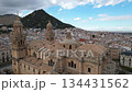 Aerial Drone View of Jaen Cathedral With City Panorama, Spain 134431562