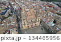 Drone Close-Up of Jaen Cathedral Towers and Detailed Front Facade, Spain 134465956