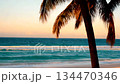 Serene tropical beach with palm tree silhouettes against a beautiful golden sunset over the ocean 134470346