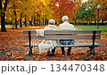 Senior couple from behind sitting on a wooden bench in a beautiful park with golden autumn leaves 134470348