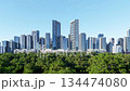 Modern city skyline rising behind a lush green forest 3d animation render. 134474080