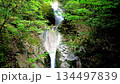 Yamaguchi, Jakuchi Gorge, Waterfall 134497839