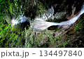 Yamaguchi, Jakuchi Gorge, Waterfall 134497840