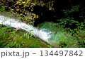 Yamaguchi, Jakuchi Gorge, Waterfall 134497842