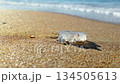 bright sunny day, a close-up of a jellyfish on a sandy beach, a calm sea after a storm, caring for the oceans and protecting the environment 134505613