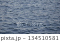 Ocean Surface Fluctuations A 134510581