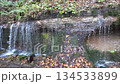 Karuizawa Shiraito Falls 134533899